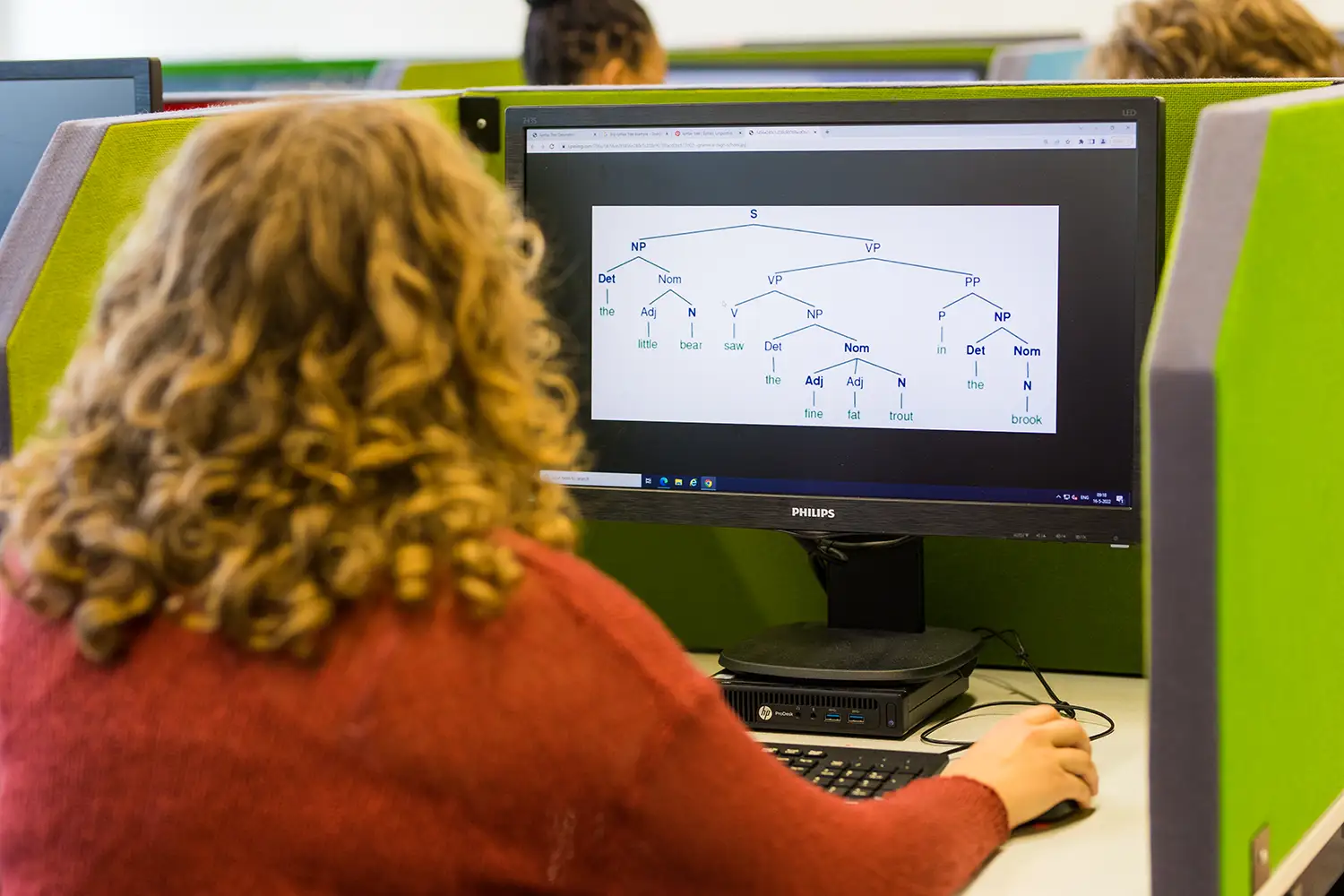 P41 int broch Linguistics option 2